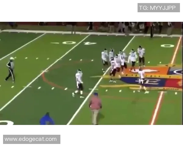 羽毛球赛事战术创新及运动员适应性